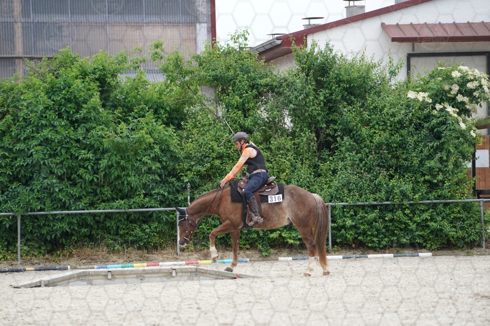 s_A9_06661.jpg